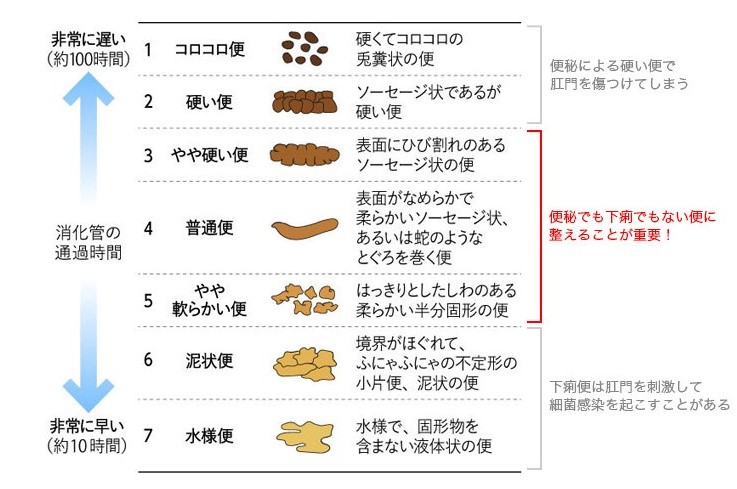 堺市東区初芝駅前の中村まさし内科クリニック、堺市　初芝駅　内科　消化器内科　糖尿病内科　内視鏡内科　便秘のイラスト